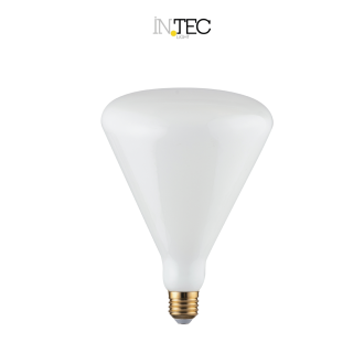 Lampada LED Decorativa E27 LB160 8W