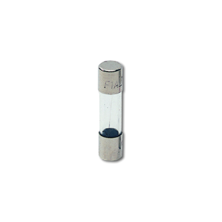 Fusibile Standard F in vetro 5x20 mm 10A 250V
