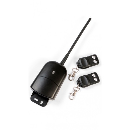Kit Ricevitore Autoapprendente + 2 Radiocomandi