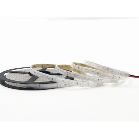Striscia strip LED 5 METRI SMD 2835 12W 60 LED IP67