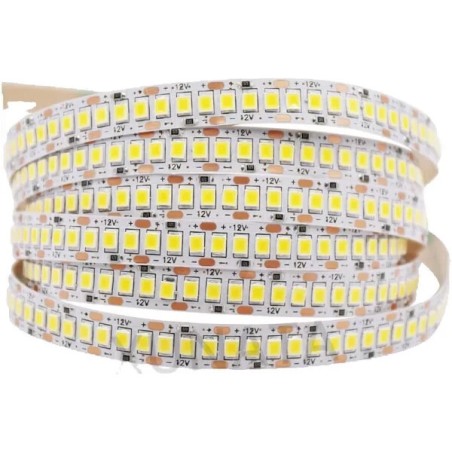 Striscia strip LED 5 METRI SMD 2835 24W 240 LED IP20