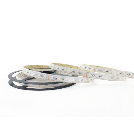 Striscia strip LED SMD 5050 RGB + 4000K 60 LED 19,2W IP68